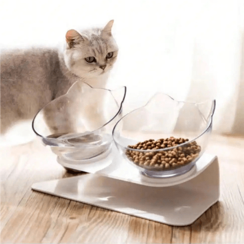 GAMELLES CHAT | TRANSPARENTES - Leschamour
