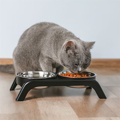 GAMELLES SURÉLEVÉES CHAT | EN ACIER INOXYDABLE - Leschamour