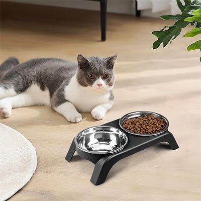 GAMELLES SURÉLEVÉES CHAT | EN ACIER INOXYDABLE - Leschamour