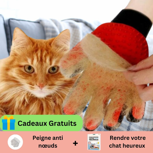 GANTS POUR CHAT | CANDYCAT™ - Leschamour