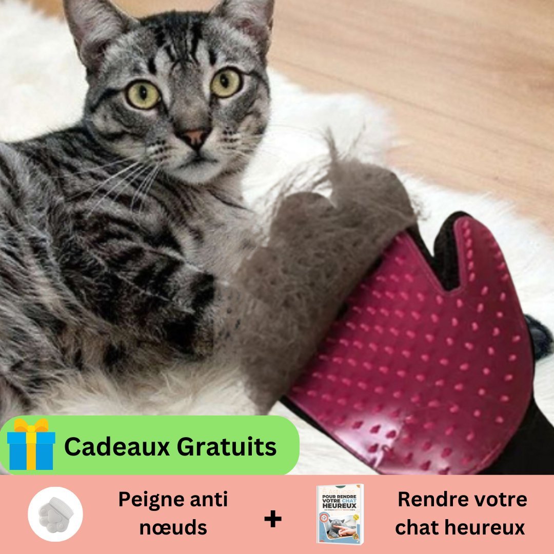 GANTS POUR CHAT | CANDYCAT2™ - Leschamour