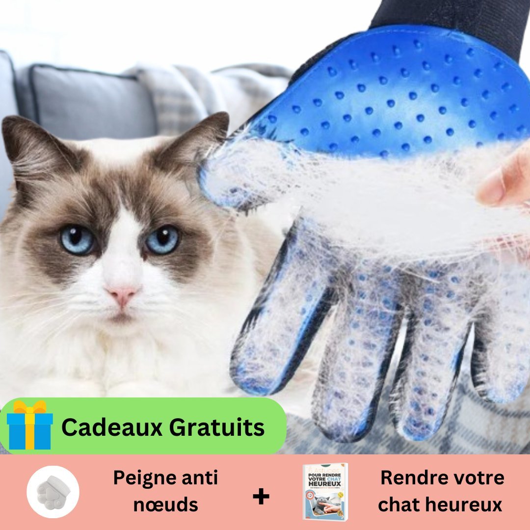 GANTS POUR CHAT | CANDYCAT2™ - Leschamour