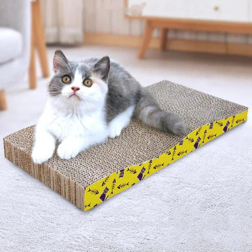 griffoir-chat-carton-anti-stress