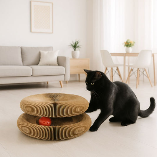 Chat qui griffe le griffoir carton GRIFFTOY