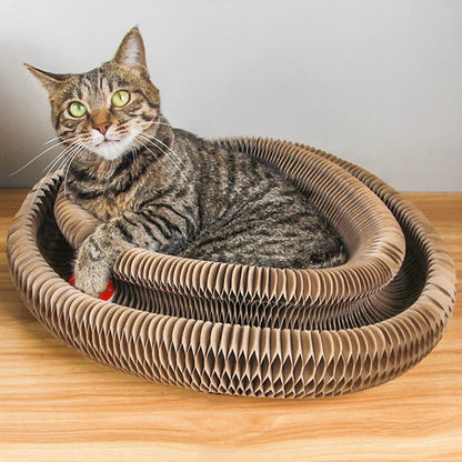 griffoir chat carton rond anti stress