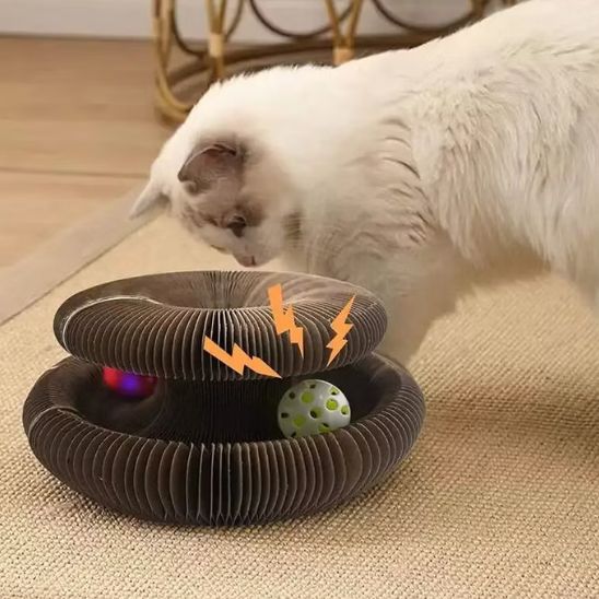 Griffoir chat carton rond 