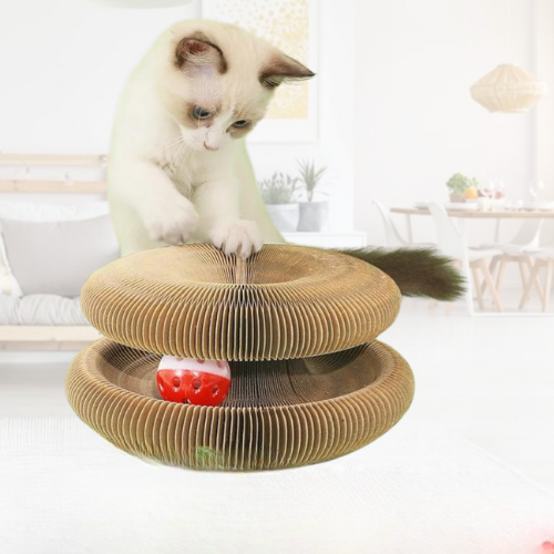 griffoir chat rond pas cher.