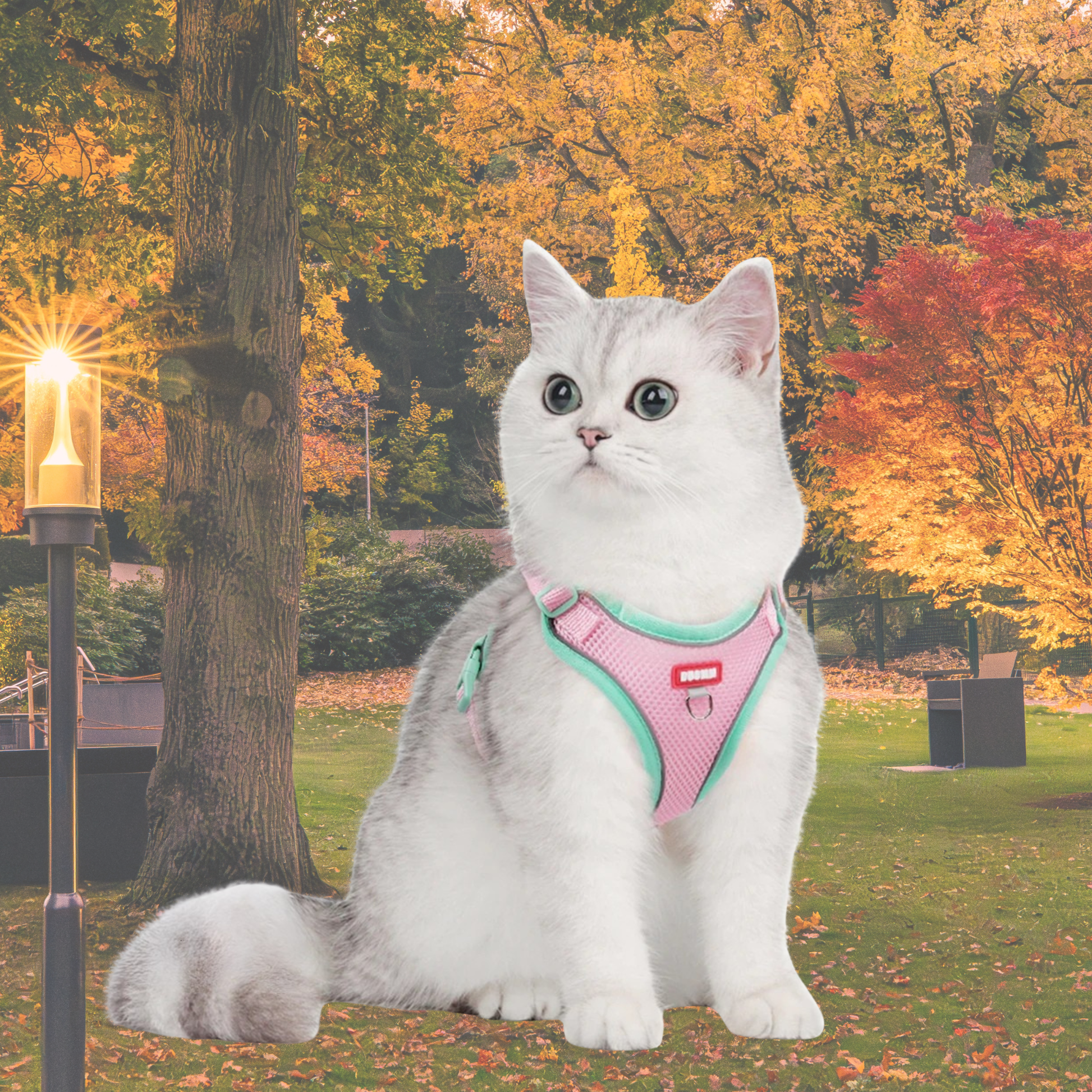 Harnais anti fugue chat chic et réglable rose