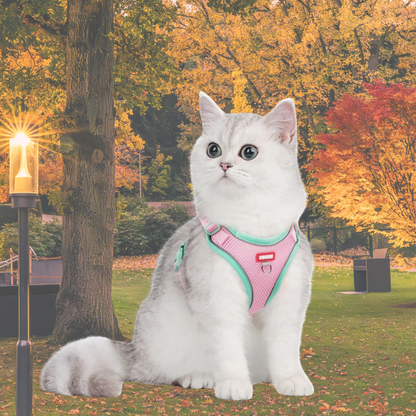 Harnais anti fugue chat chic et réglable rose