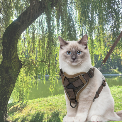harnais chat anti fugue marron réfléchissant