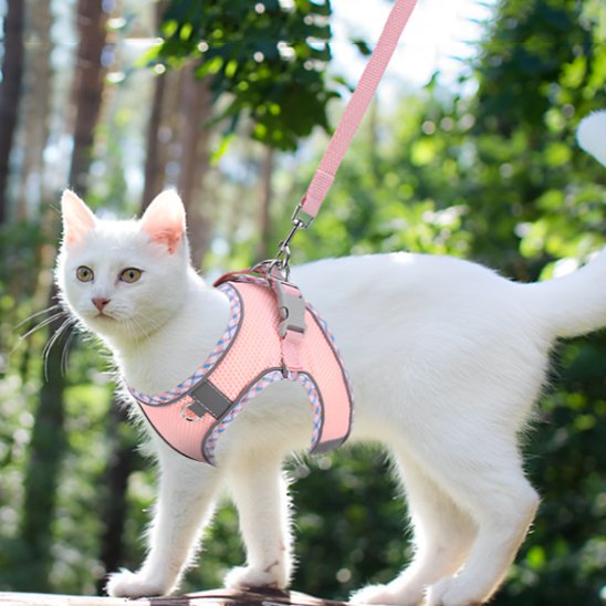 harnais chat anti-fugue réfléchissant et respirant rose