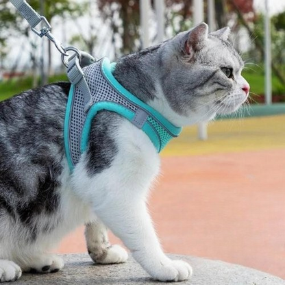 harnais-chat-chaventure-bleu