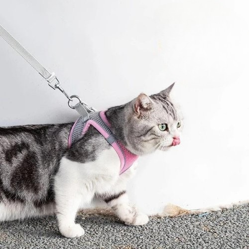 harnais-chat-chaventure-rose