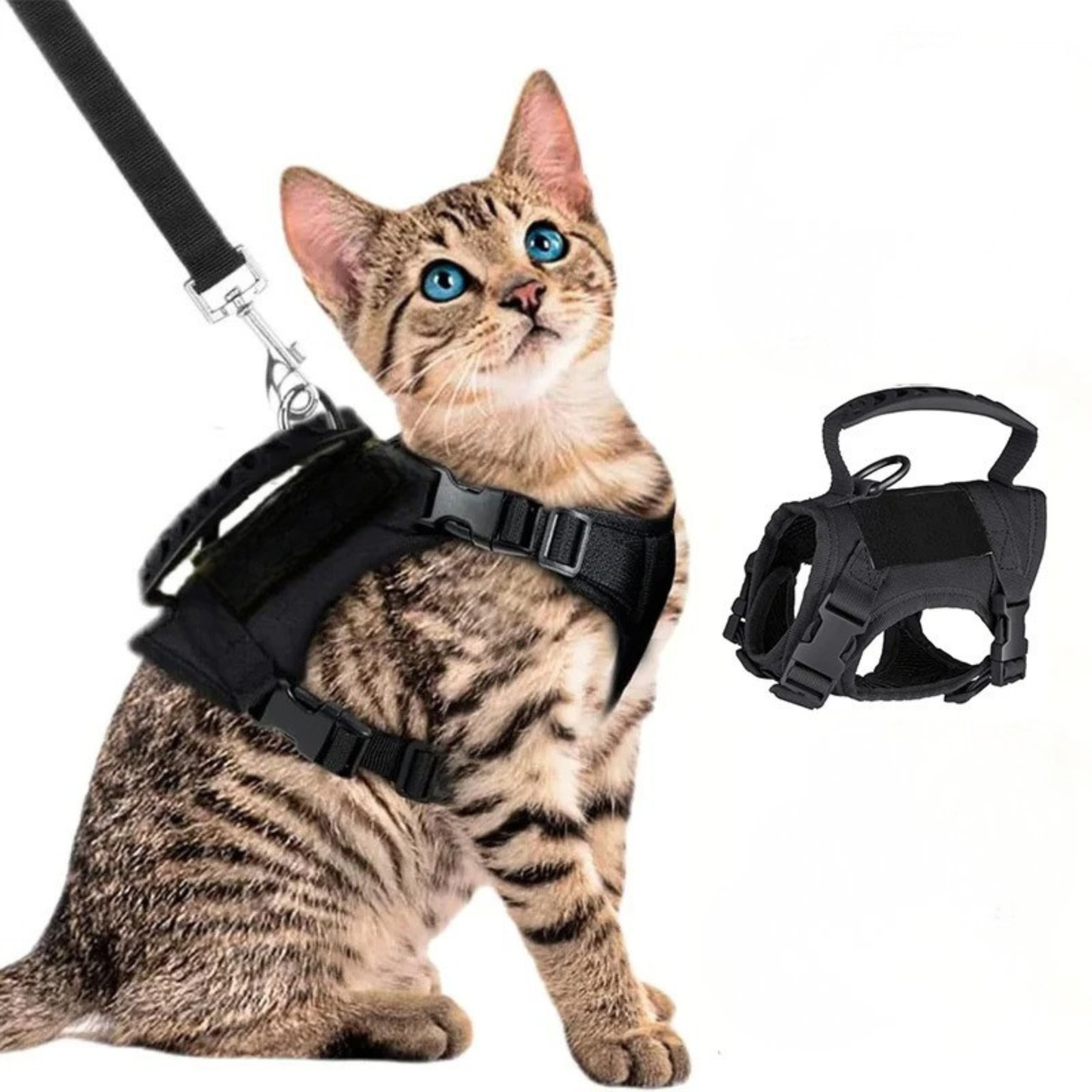 Harnais chat securite tactique noir