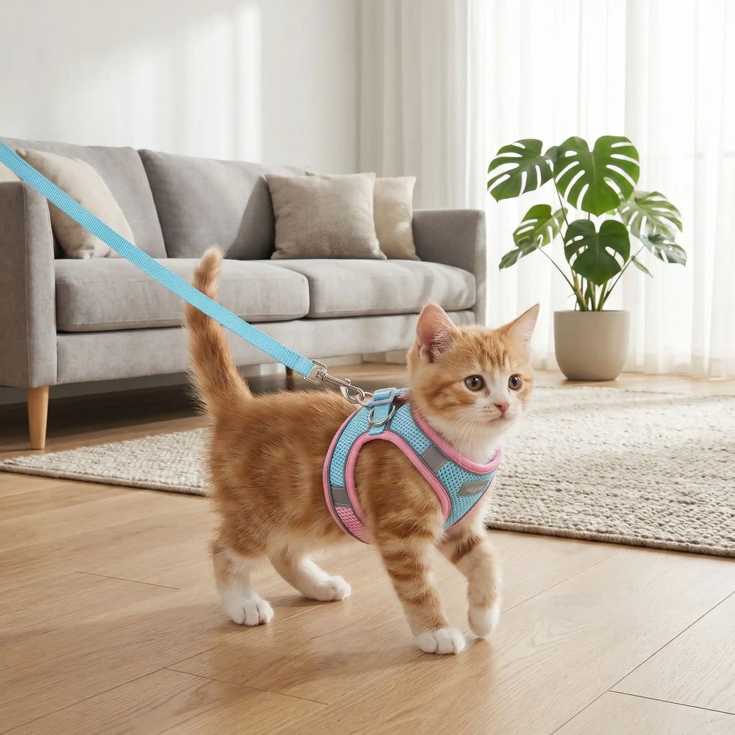 Harnais chaton 3 mois anti-fugue rose