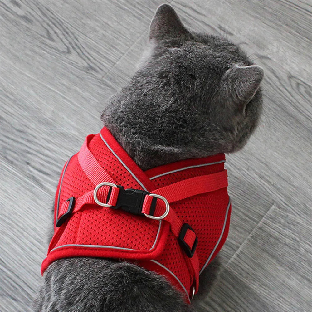 Harnais maine coon réfléchissant rouge