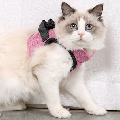 HARNAIS POUR CHAT | GILET + LAISSE OFFERTE - Leschamour