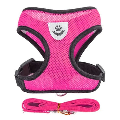 Harnais pour chaton 3 mois gilet rose réfléchissant