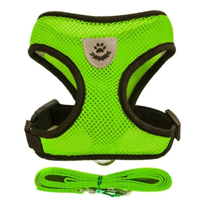 Harnais pour chaton 3 mois gilet vert réfléchissant