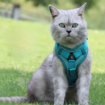harnais pour chaton anti-traction bleu