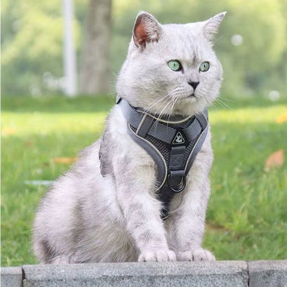 harnais pour chaton anti-traction gris