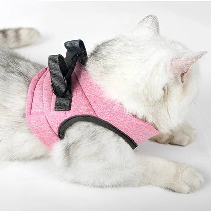HARNAIS POUR CHATON | GILET + LAISSE OFFERTE - Leschamour