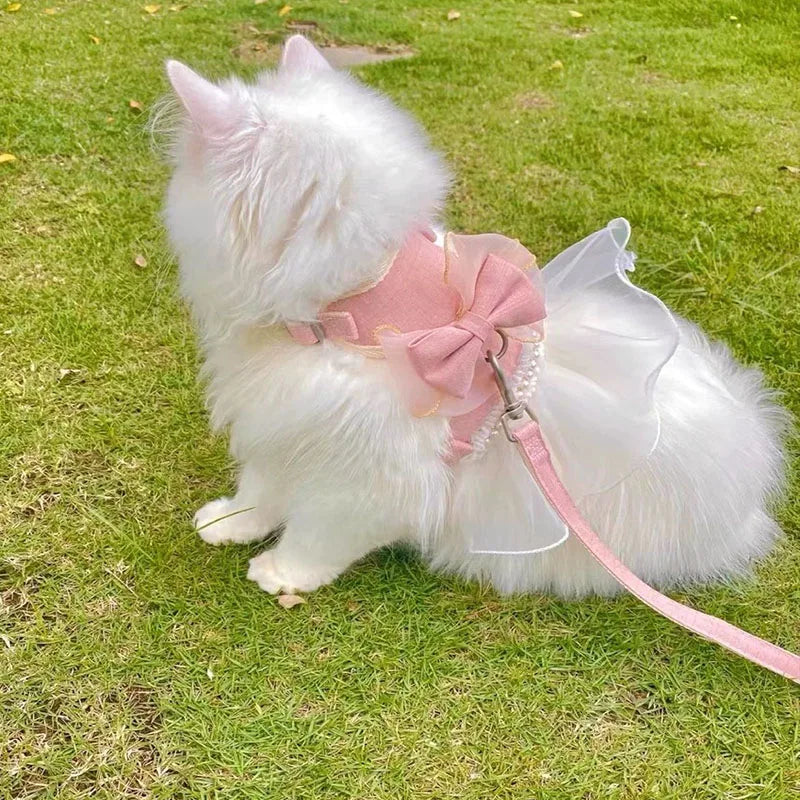harnais-pour-maine-coon-noeud-papillon-leger