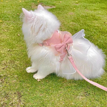 harnais-pour-maine-coon-noeud-papillon-leger