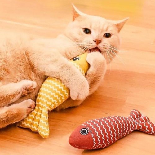 JOUET POISSON POUR CHAT | FISHCATS™ - Leschamour