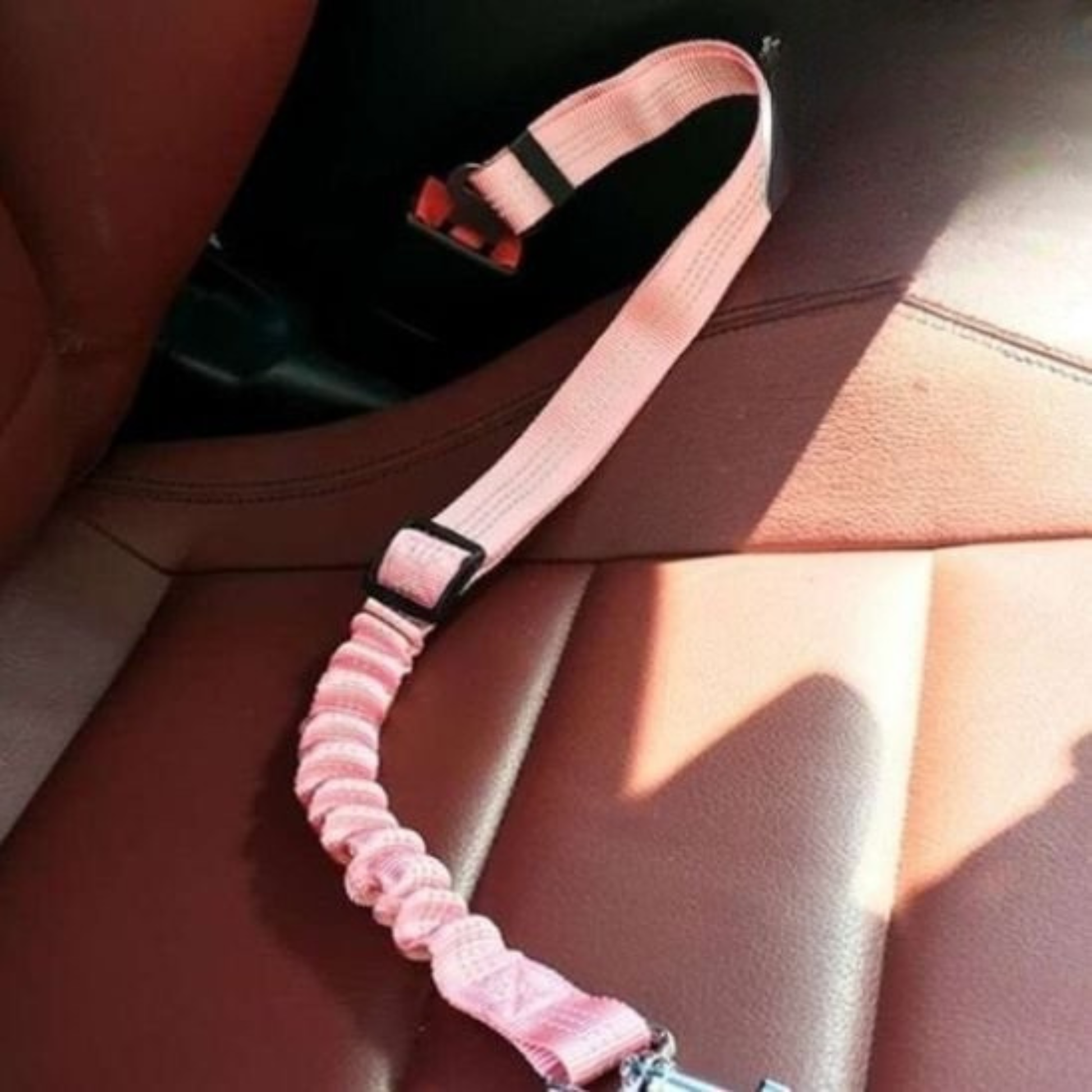 Laisse pour chat ceinture rose