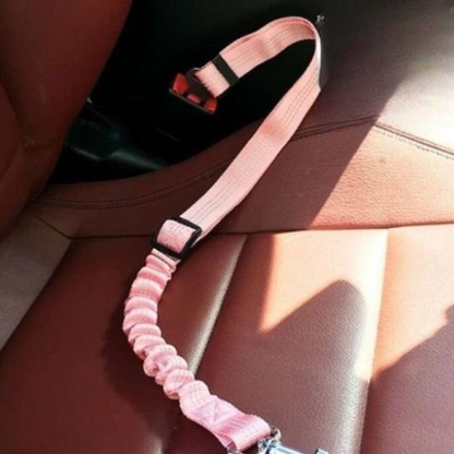 Laisse pour chat ceinture rose