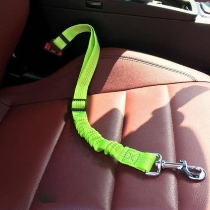 Laisse pour chat ceinture verte