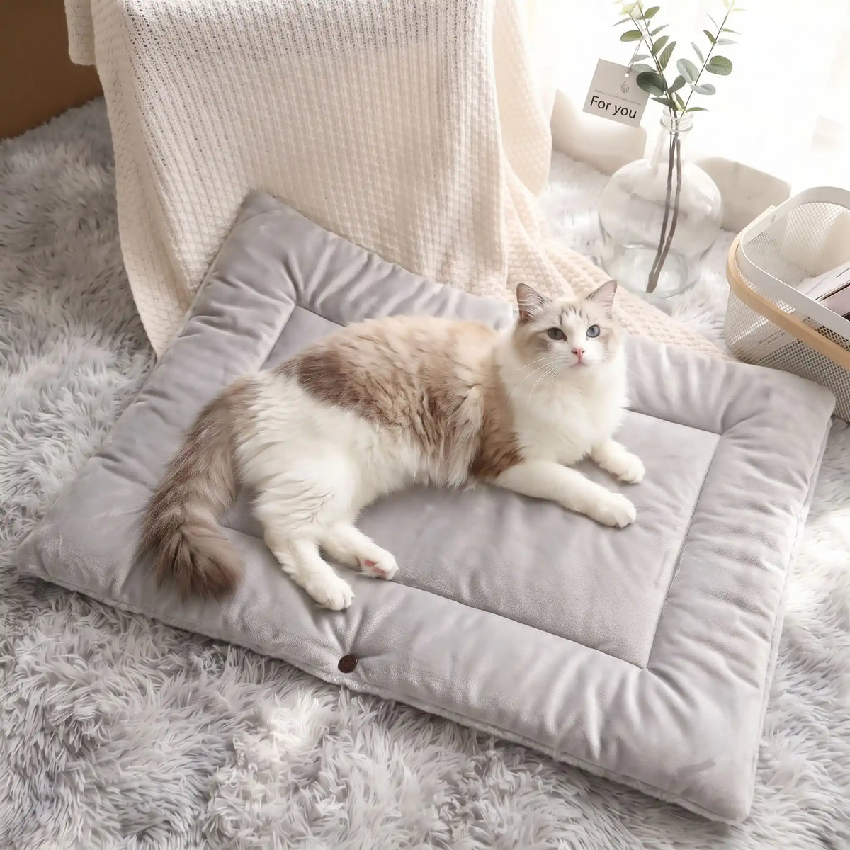 panier chat original moelleux