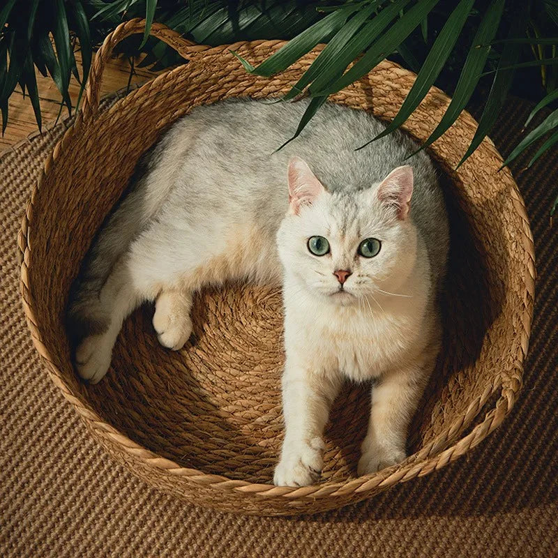 panier-chat-osier-confortable