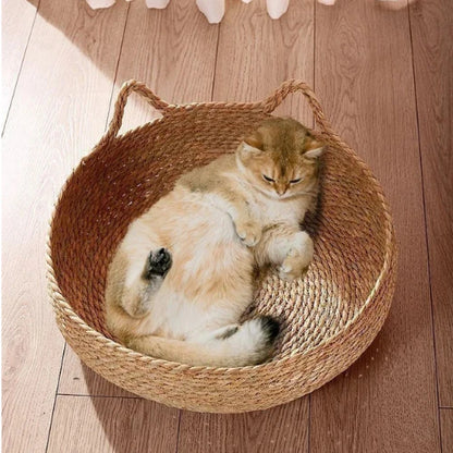 panier-chat-osier-luxueux