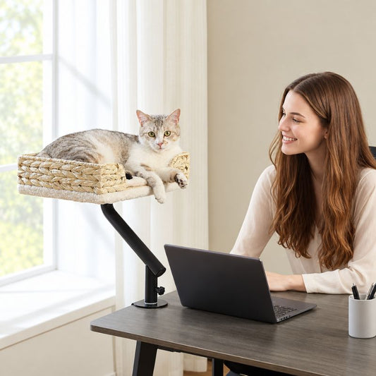 Panier suspendu chat en osier avec un chat près d’une femme souriante.