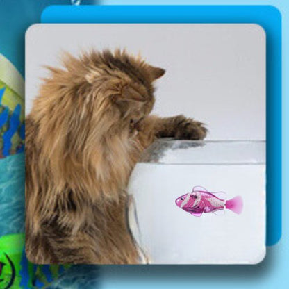 POISSON QUI BOUGE POUR CHAT | FISHCAT™ - Leschamour