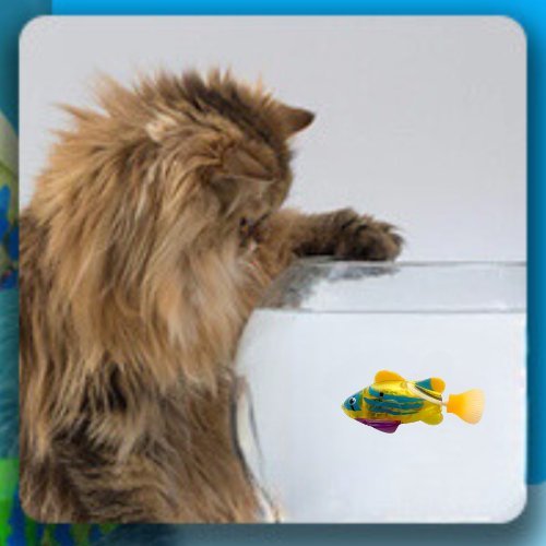 POISSON QUI BOUGE POUR CHAT | FISHCATS™ - Leschamour