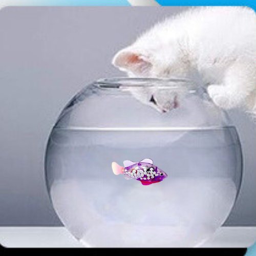 POISSON QUI BOUGE POUR CHAT | FISHCATS™ - Leschamour