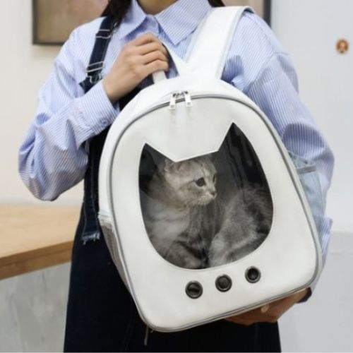 sac-a-dos-chat-blanc