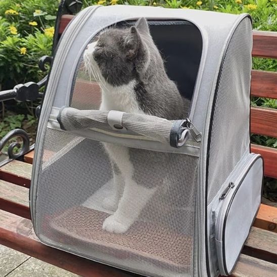 SAC À DOS CHAT | EN TOILE - Leschamour