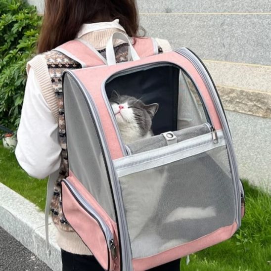 SAC À DOS CHAT | EN TOILE - Leschamour