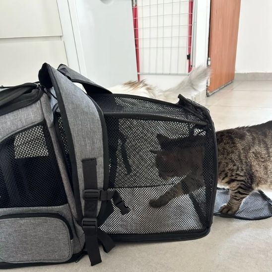 SAC À DOS CHAT | EXTENSIBLE ET PLIABLE - Leschamour