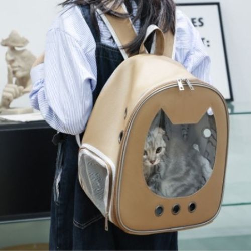 sac-a-dos-chat-marron