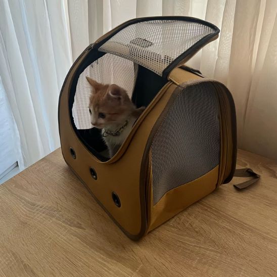 SAC A DOS CHAT TRANSPORT | PLIABLE - Leschamour
