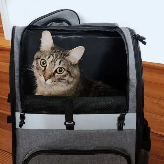 Sac a dos pour chat voyage 9kg
