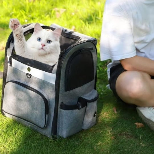 Sac a dos pour chat voyage randonnée