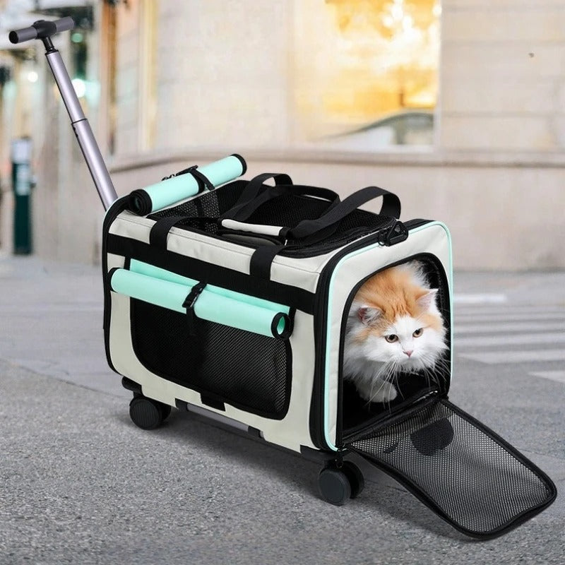 sac de transport pour chat 10 kg avec roulettes vert