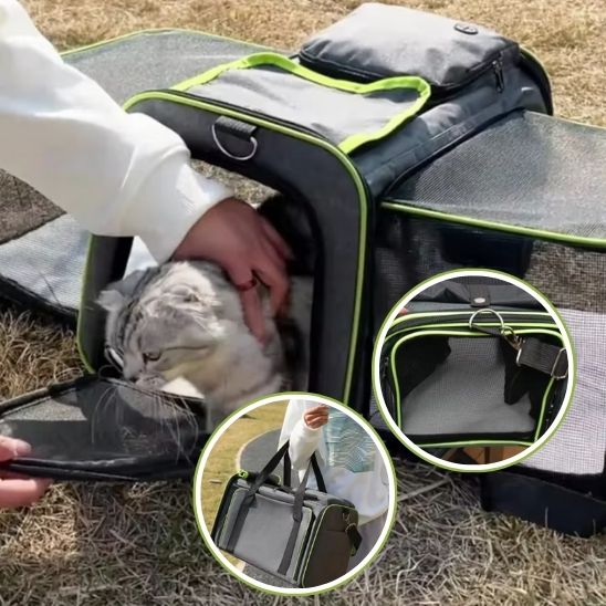 sac-de-transport-pour-chats-pratique