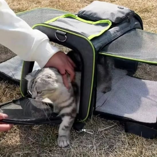 sac de transport pour chats xxl vert